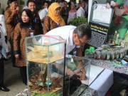 LIPI Gelar Bioresources Science Week Fair
